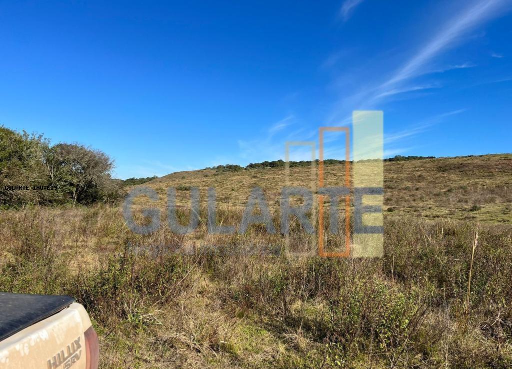 Fazenda, 897 hectares - Foto 12