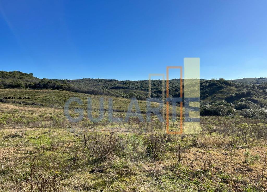 Fazenda, 897 hectares - Foto 11