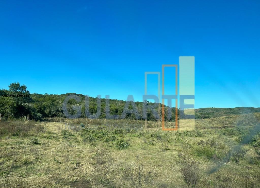 Fazenda, 897 hectares - Foto 10