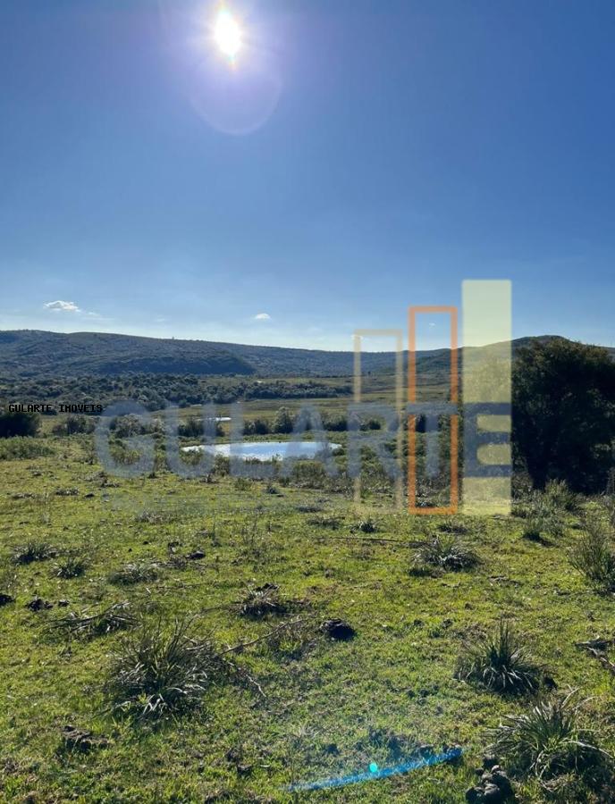 Fazenda, 897 hectares - Foto 15