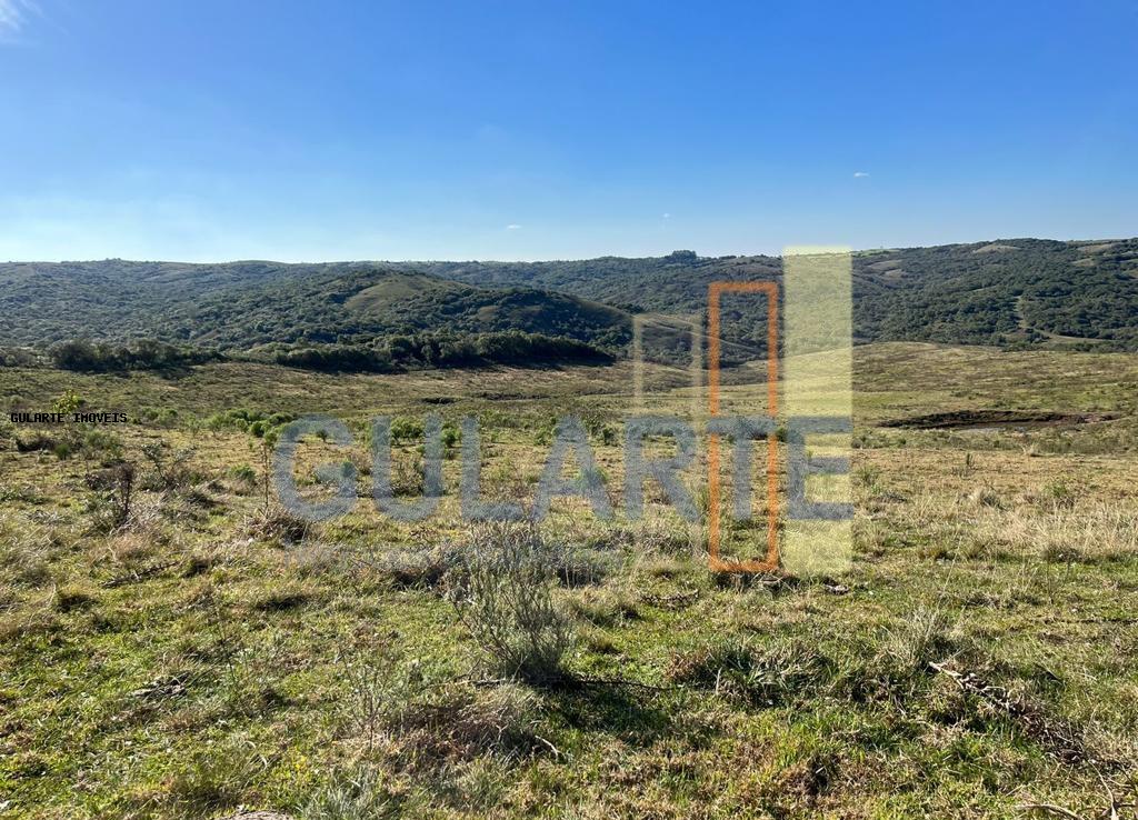 Fazenda, 897 hectares - Foto 13