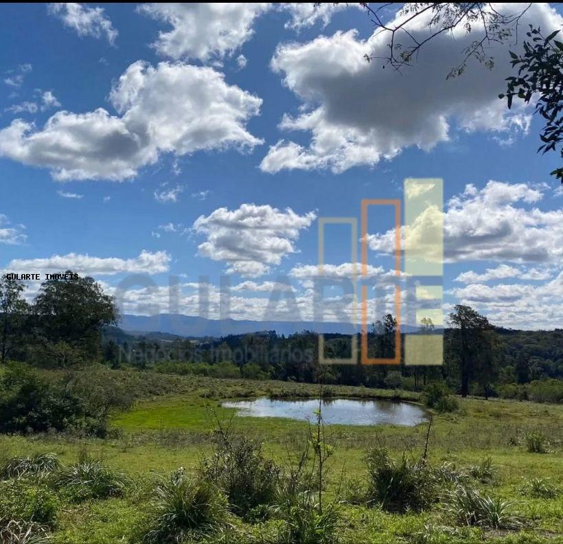 Chácara, 60 hectares - Foto 3