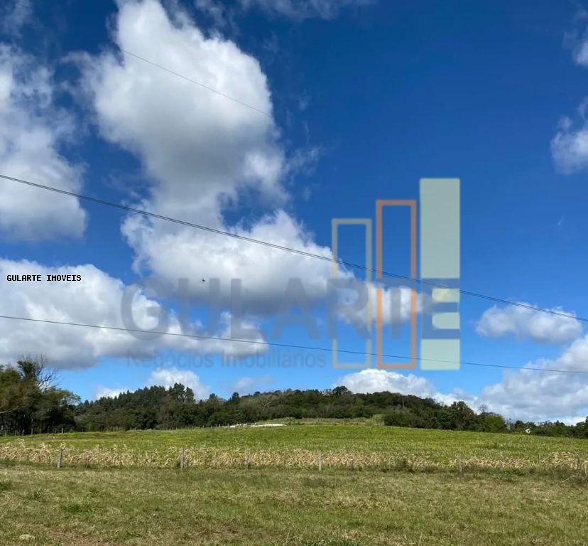 Chácara, 60 hectares - Foto 2