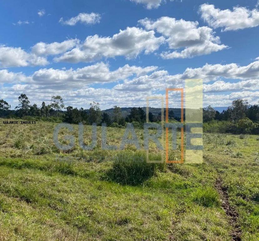 Fazenda, 60 hectares - Foto 6