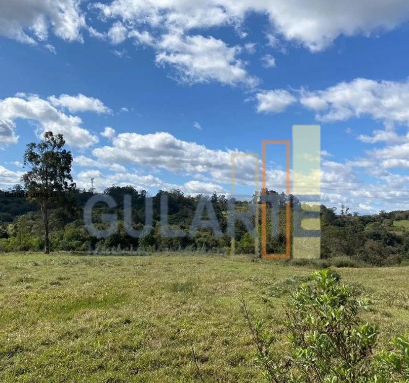 Chácara, 60 hectares - Foto 5