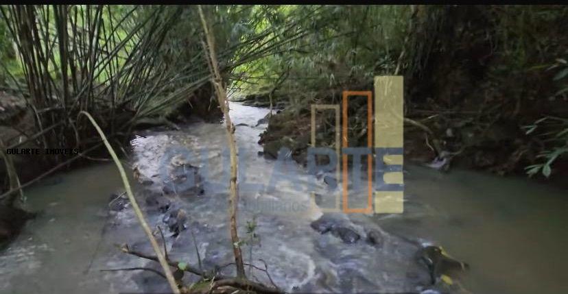 Fazenda, 60 hectares - Foto 12