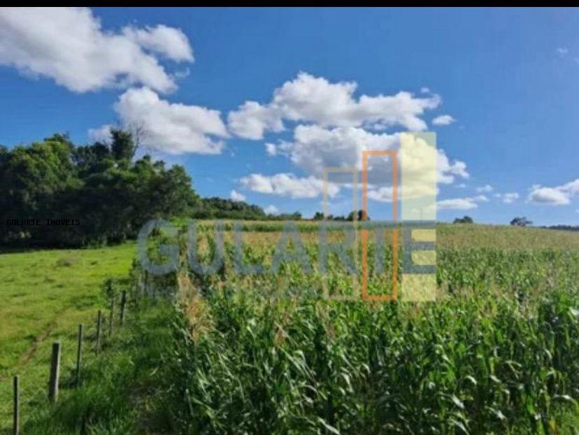 Fazenda, 60 hectares - Foto 9