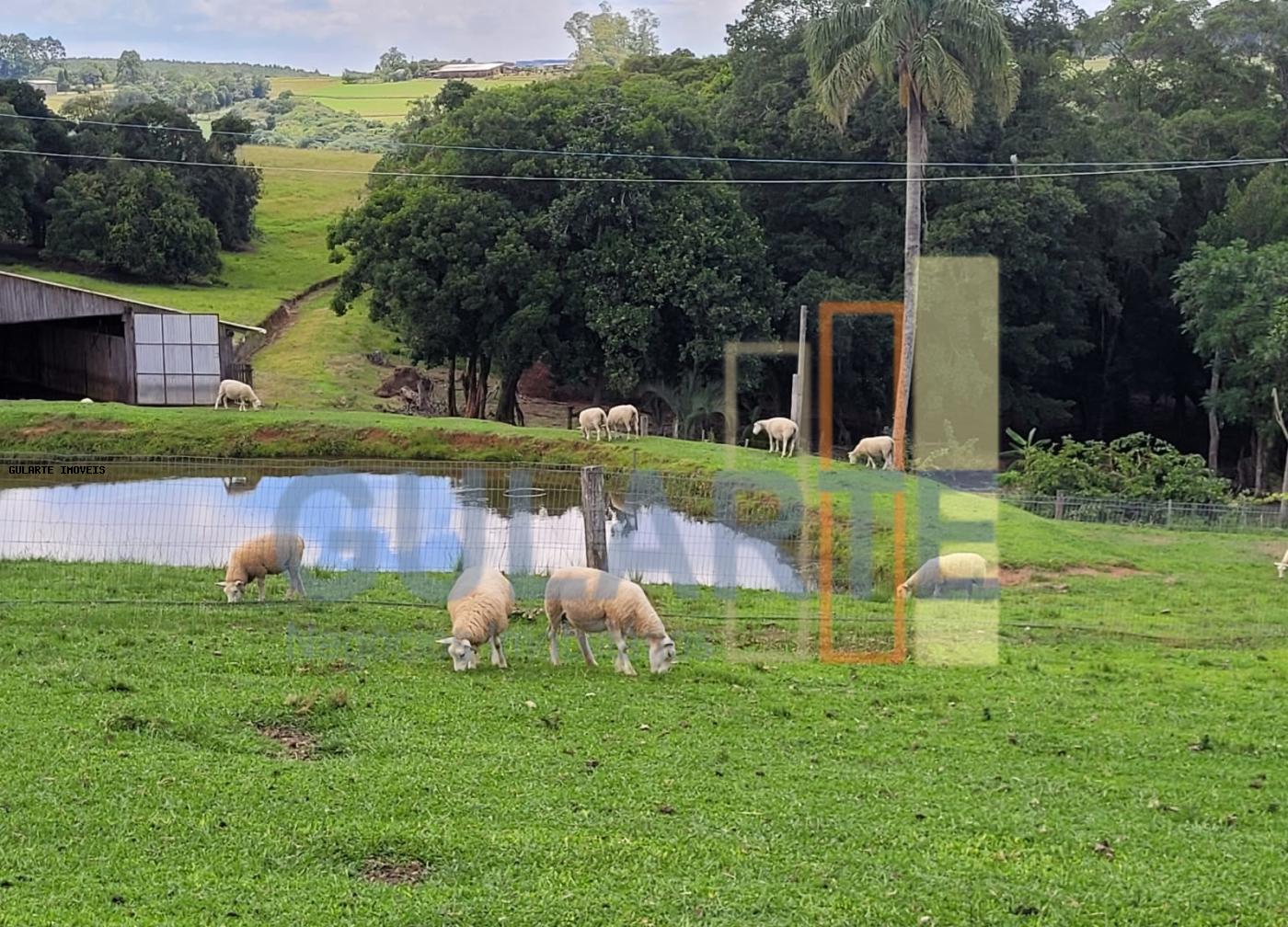Fazenda à venda, 59m² - Foto 11