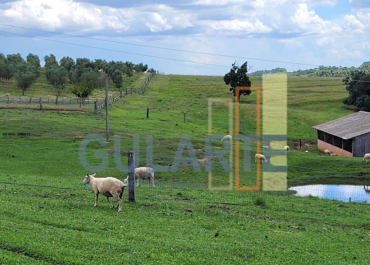 Fazenda à venda, 59m² - Foto 12