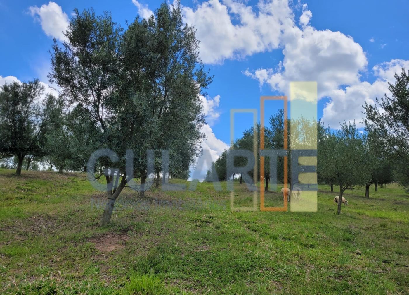 Fazenda à venda, 59m² - Foto 15