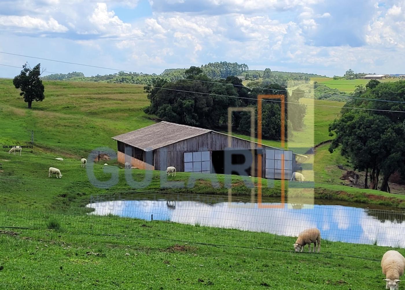 Fazenda à venda, 59m² - Foto 13