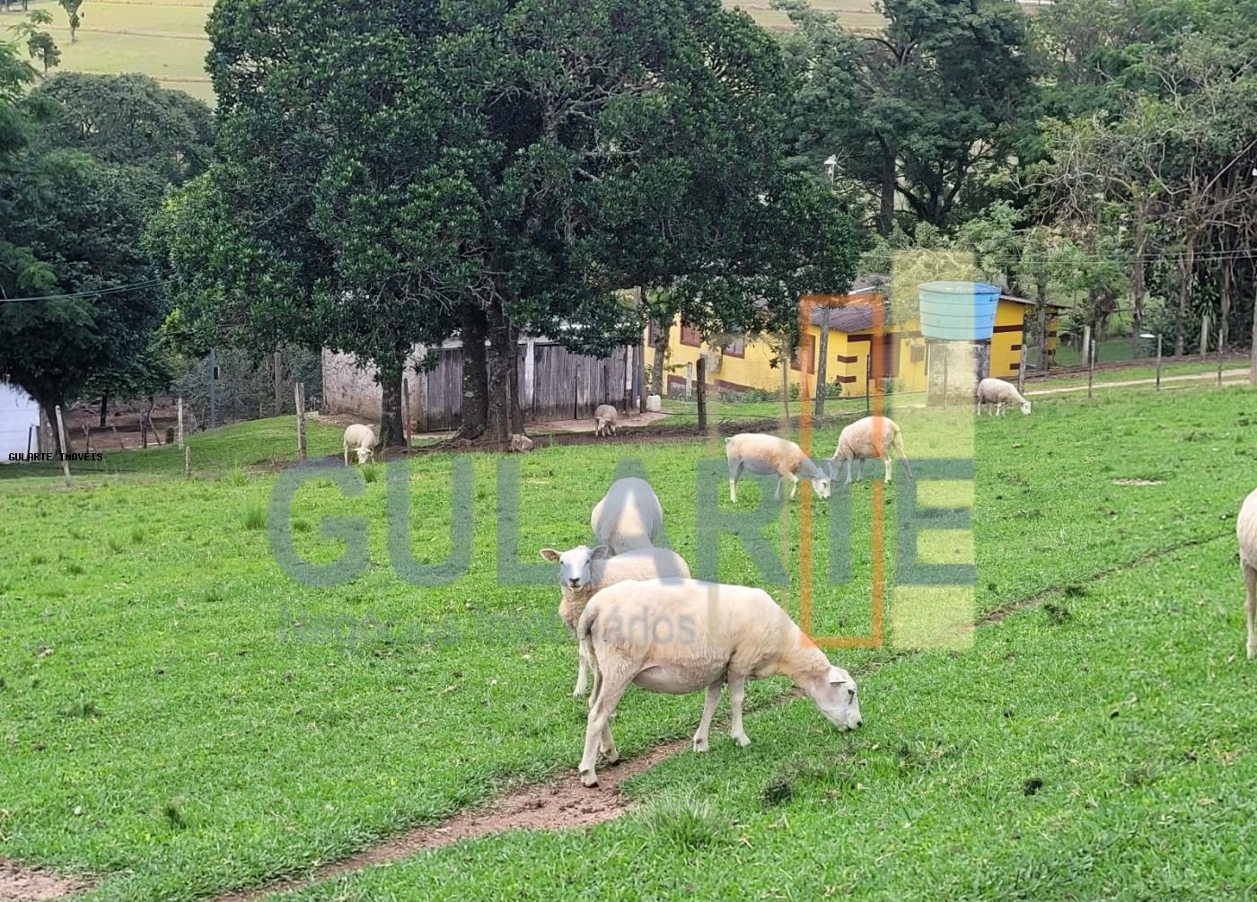 Fazenda à venda, 59m² - Foto 17