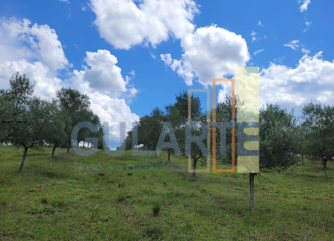 Fazenda à venda, 59m² - Foto 19