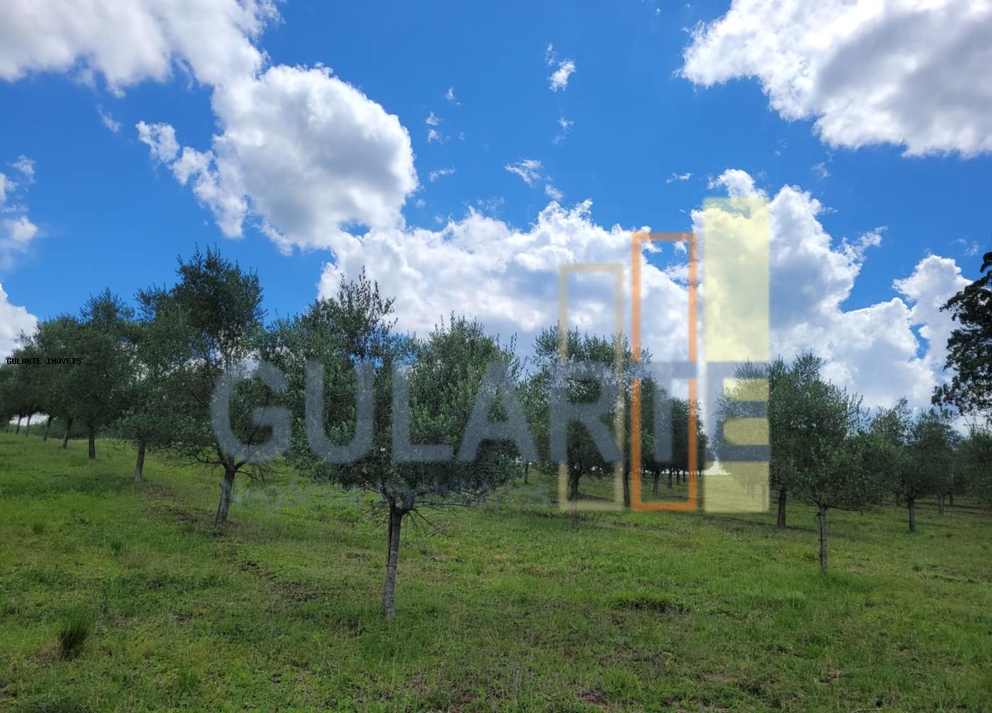 Fazenda à venda, 59m² - Foto 18