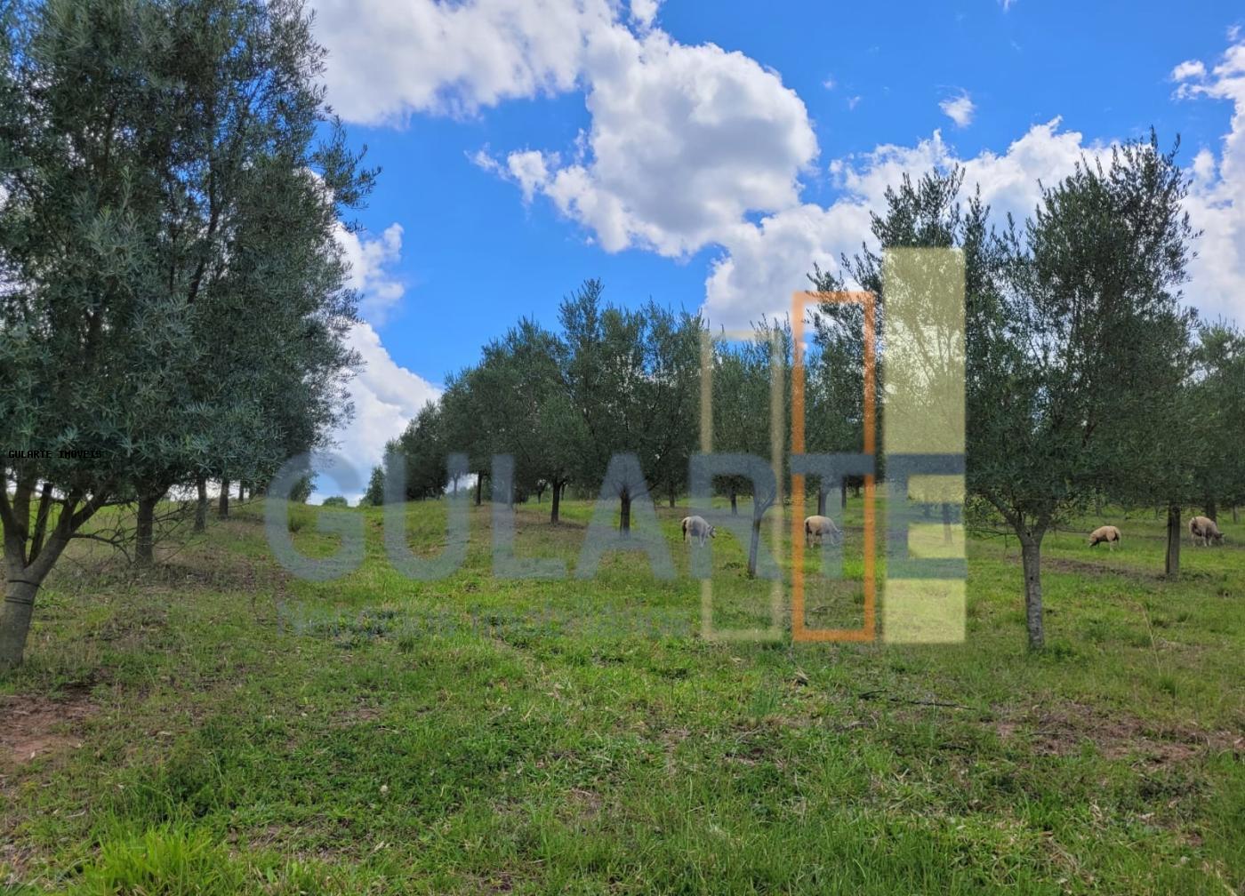 Fazenda à venda, 59m² - Foto 21