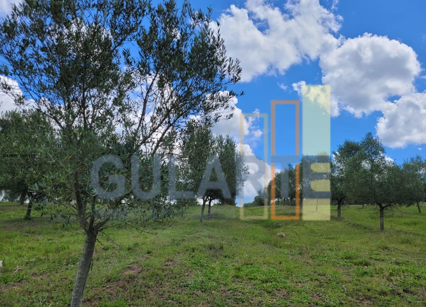 Fazenda à venda, 59m² - Foto 22