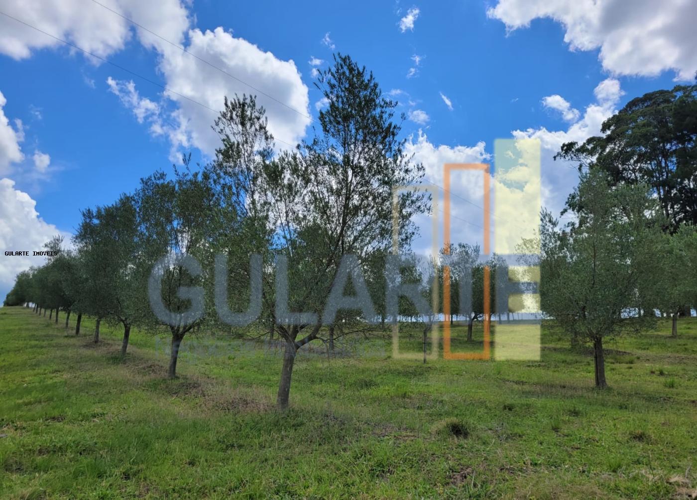 Fazenda à venda, 59m² - Foto 24