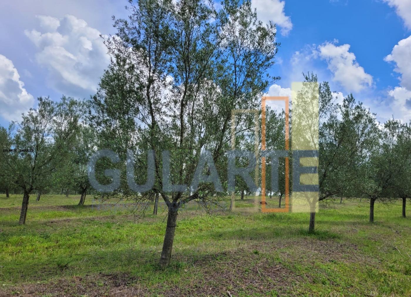 Fazenda à venda, 59m² - Foto 25