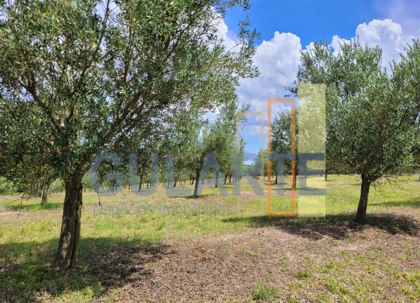 Fazenda à venda, 59m² - Foto 26