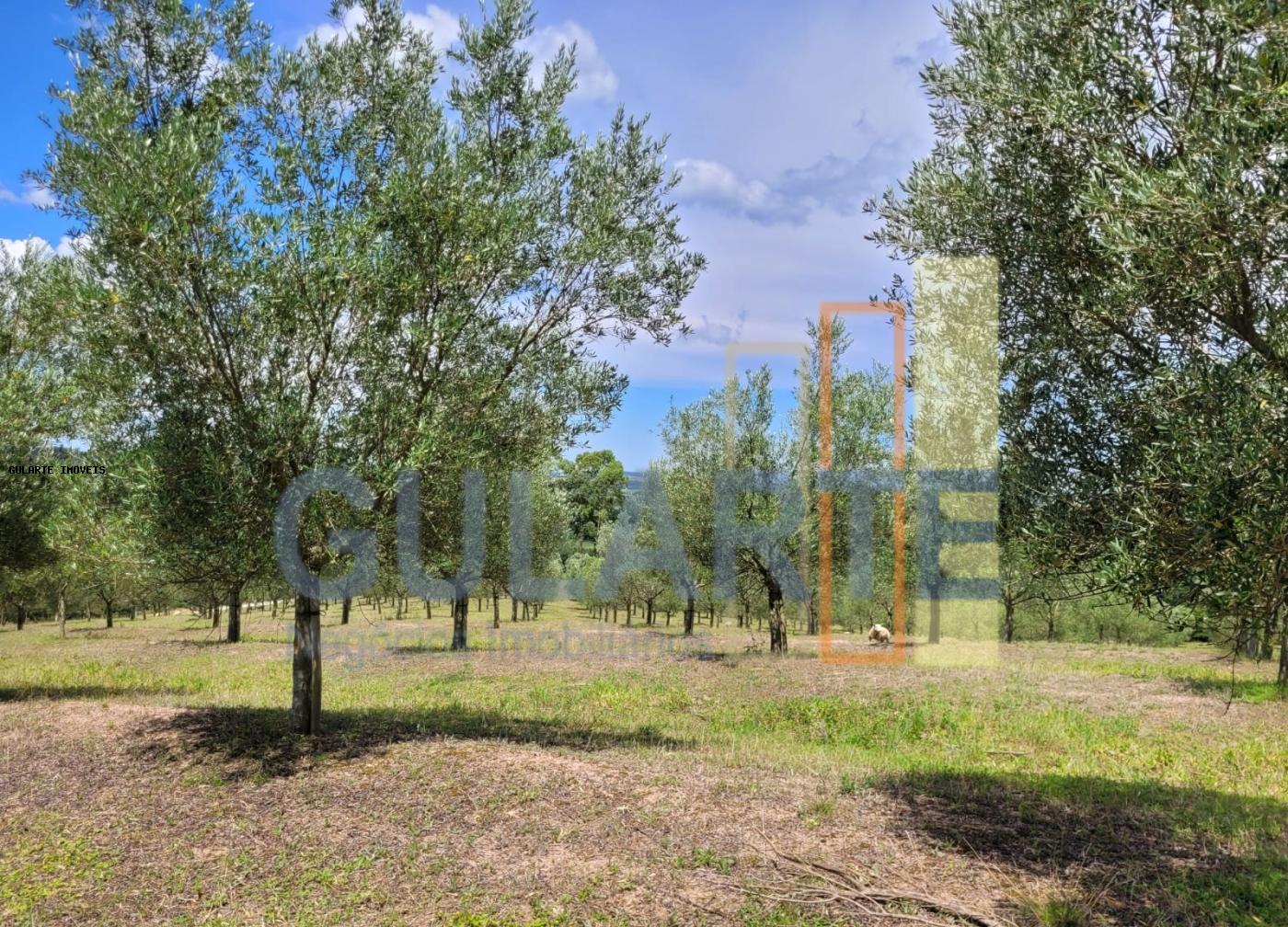 Fazenda à venda, 59m² - Foto 27