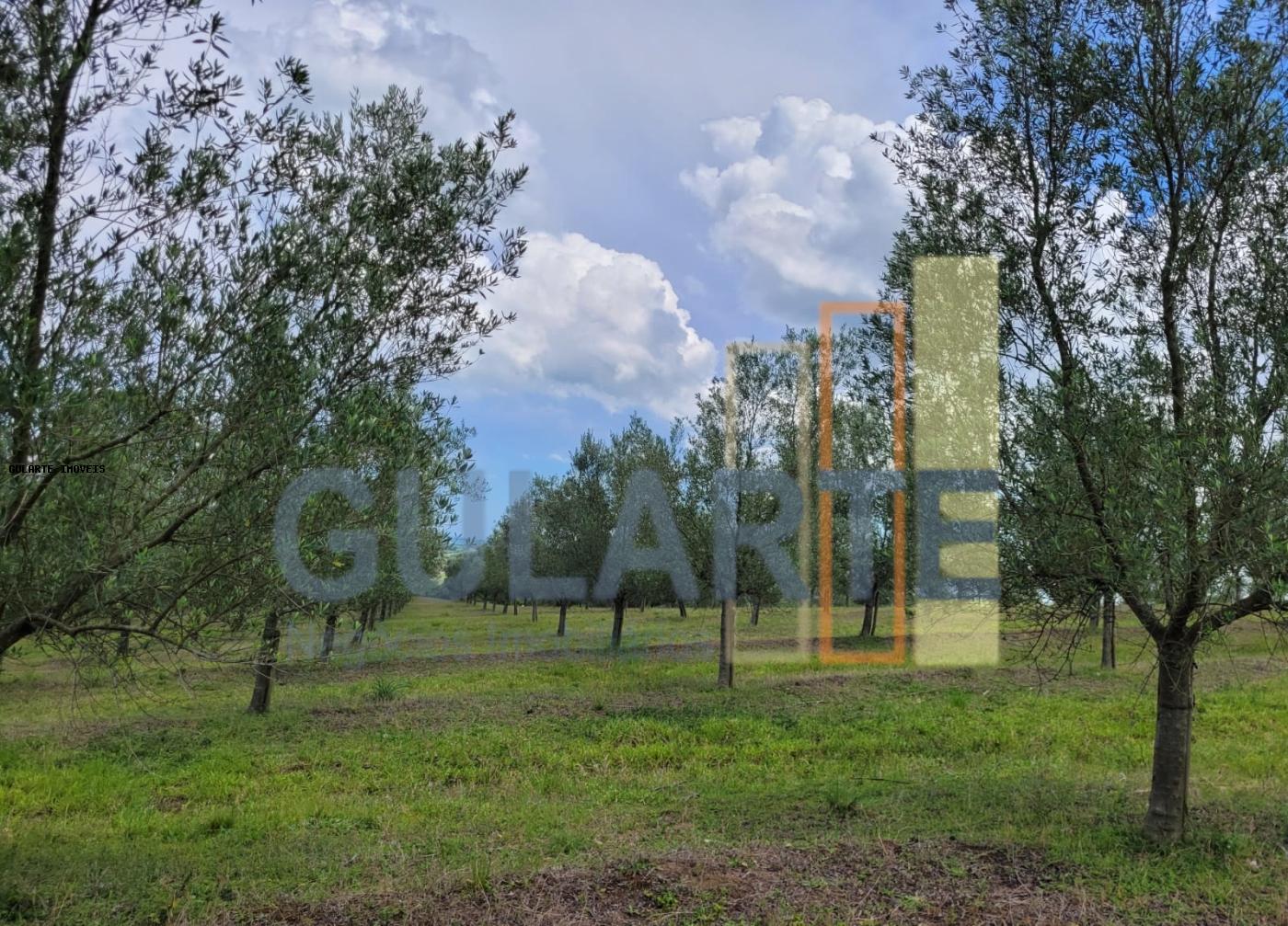 Fazenda à venda, 59m² - Foto 28