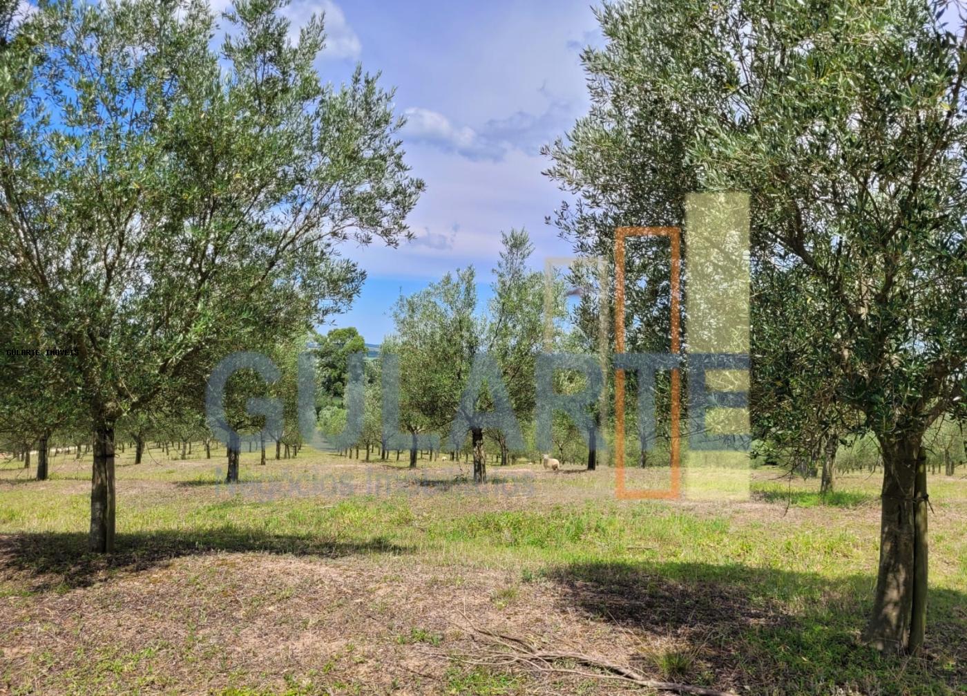 Fazenda à venda, 59m² - Foto 29