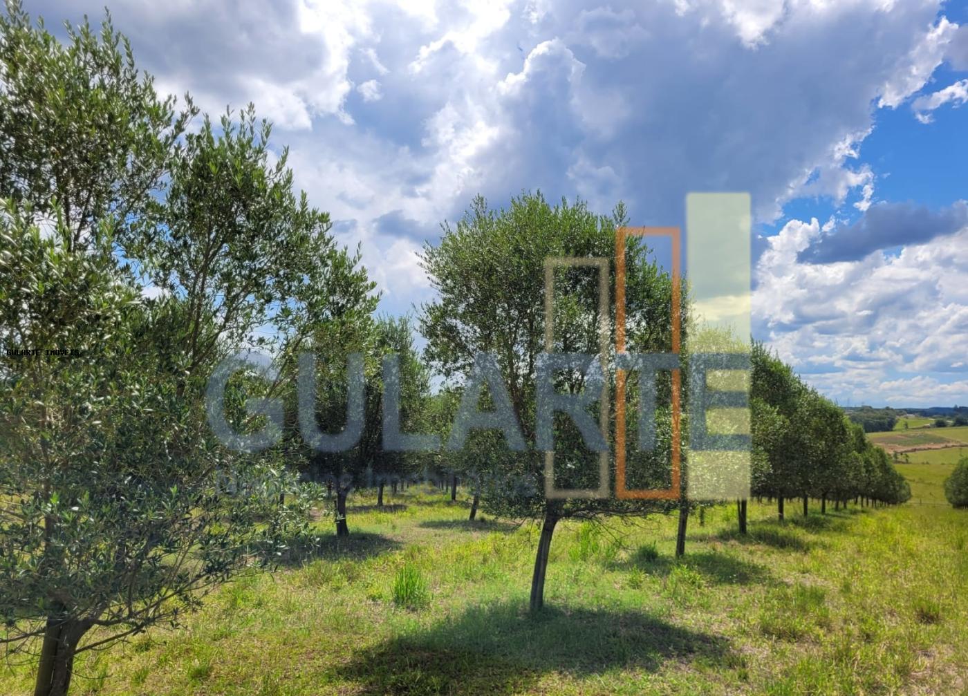 Fazenda à venda, 59m² - Foto 33