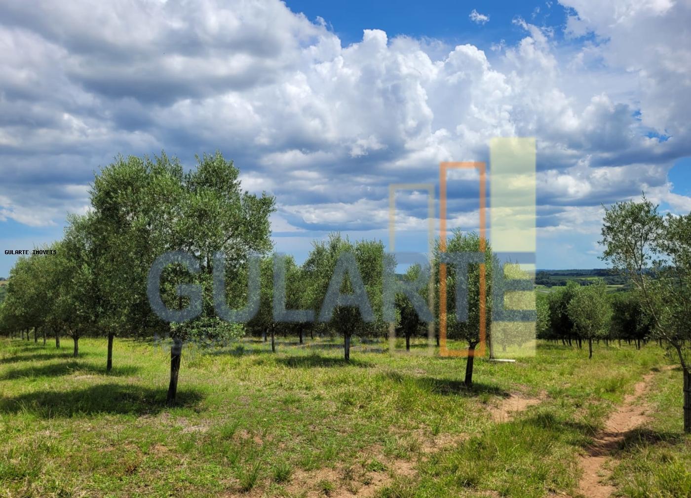 Fazenda à venda, 59m² - Foto 34
