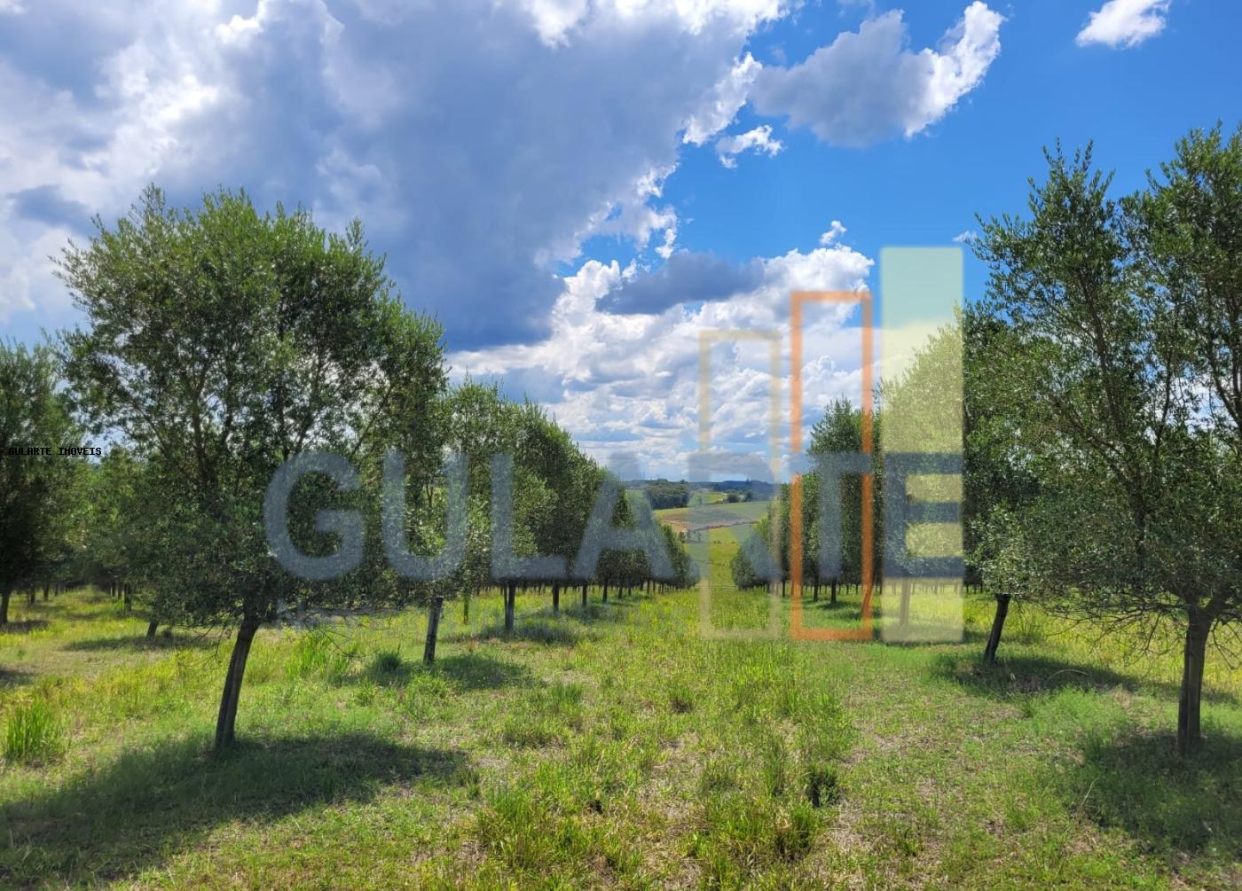 Fazenda à venda, 59m² - Foto 35
