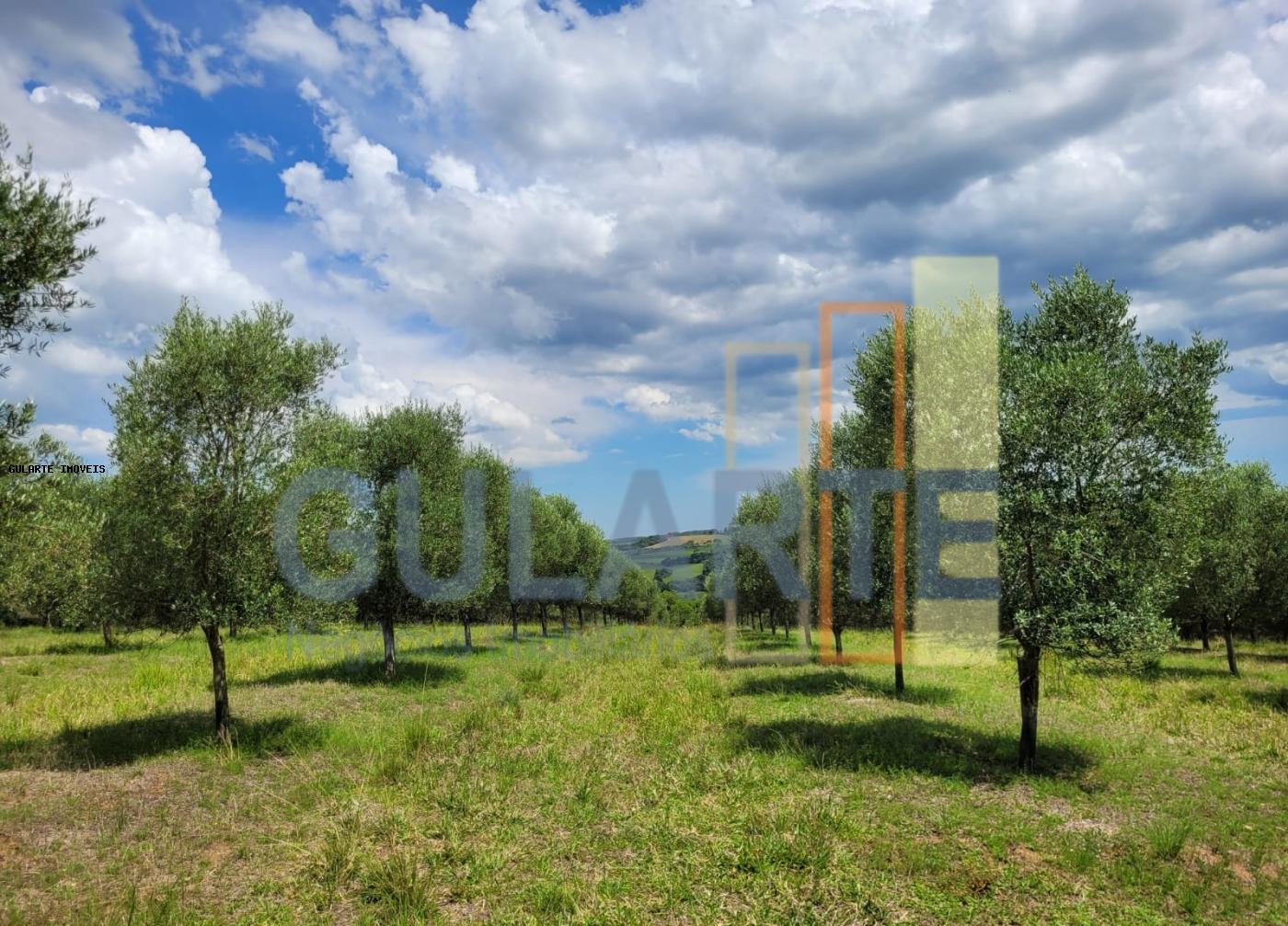 Fazenda à venda, 59m² - Foto 36