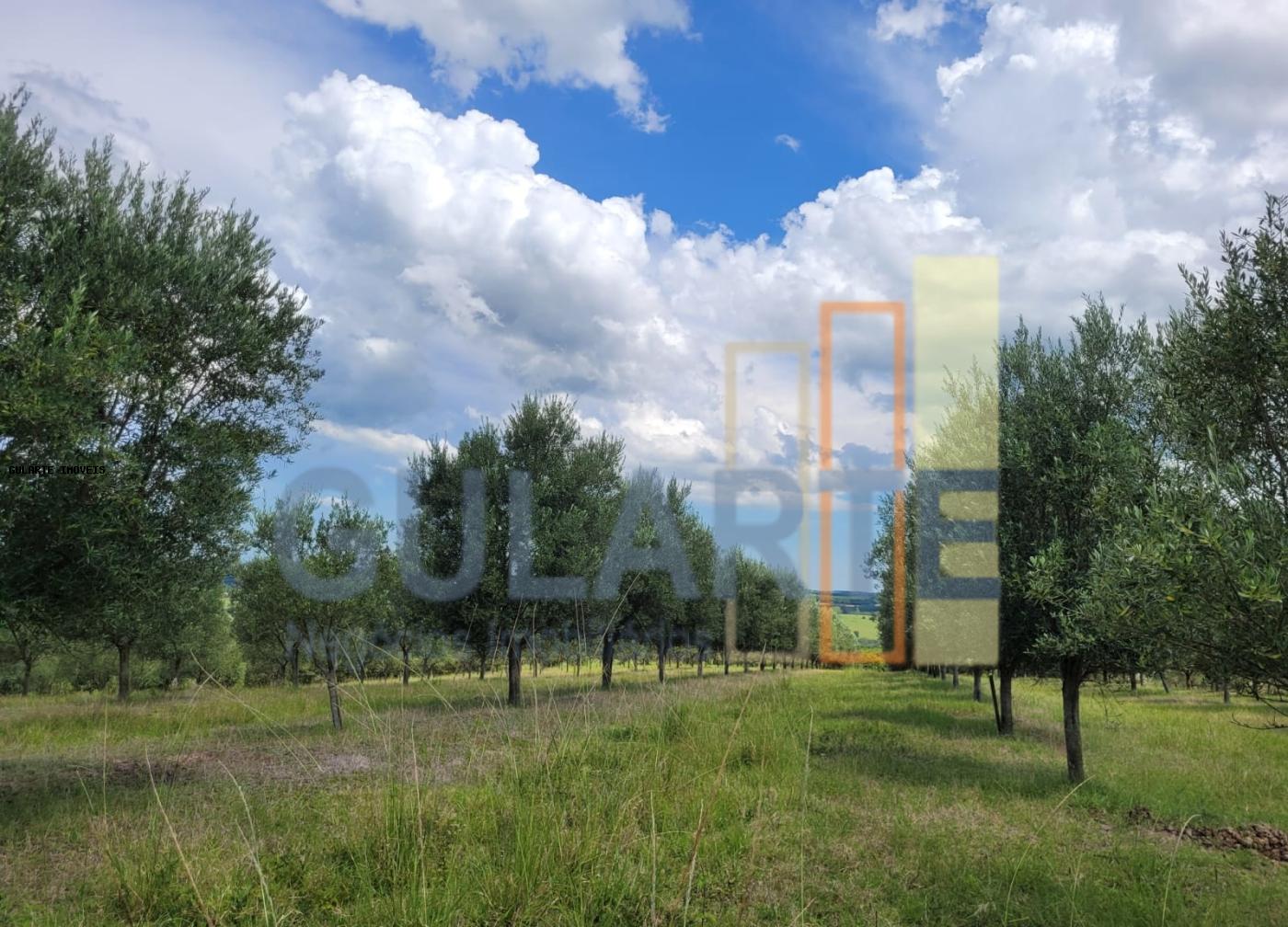 Fazenda à venda, 59m² - Foto 39
