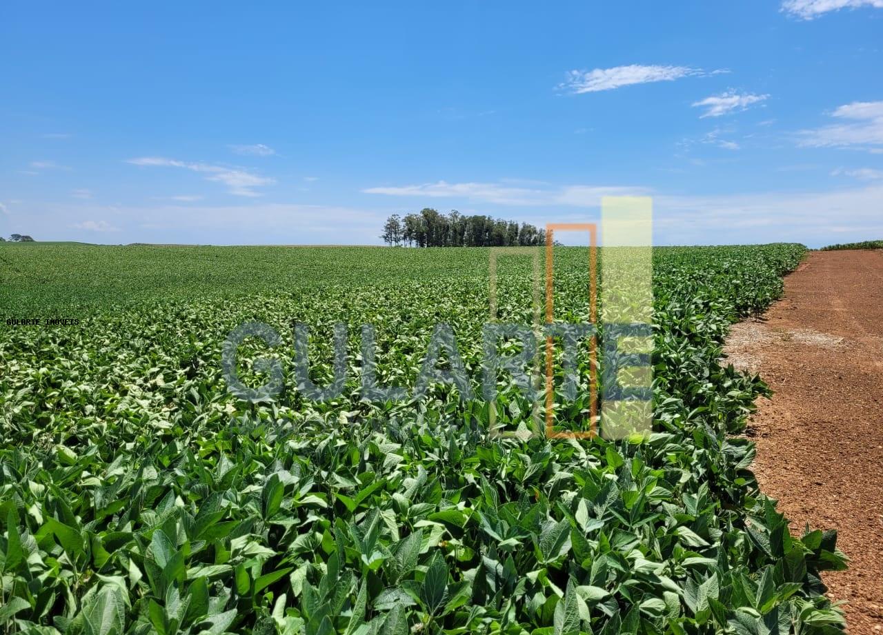 Fazenda, 252 hectares - Foto 2