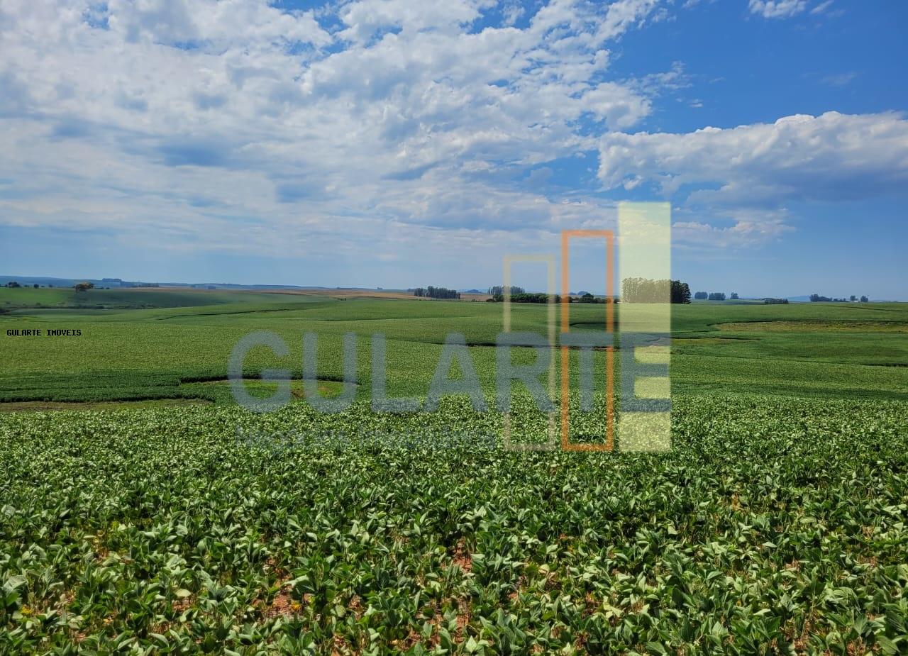 Fazenda, 252 hectares - Foto 3