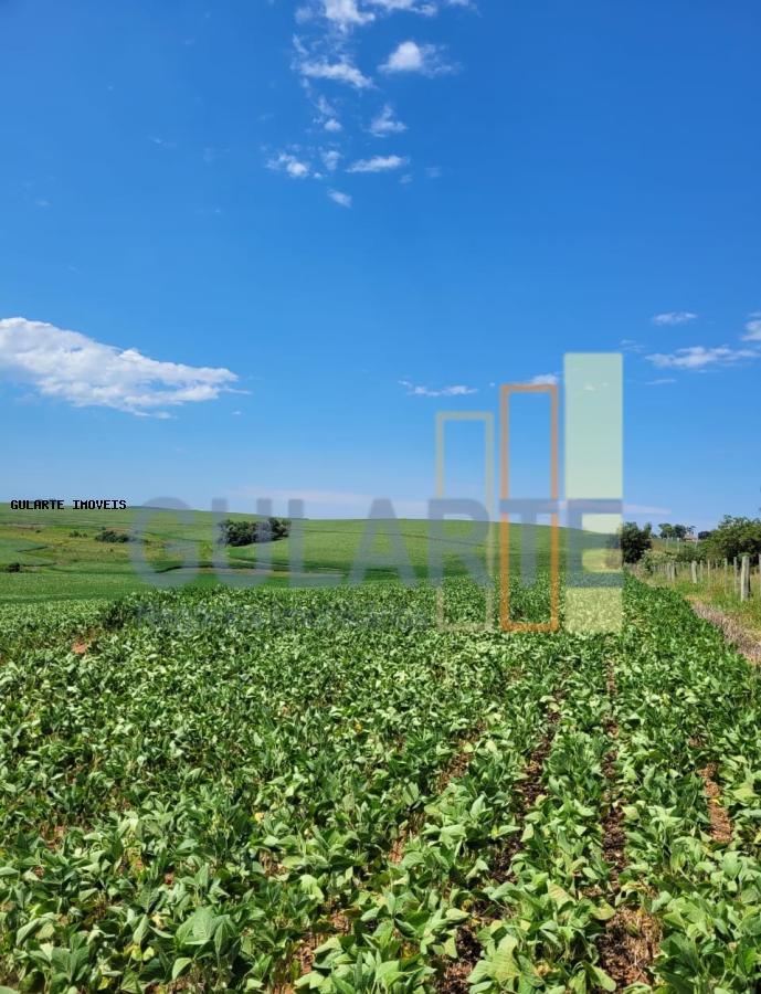 Fazenda, 252 hectares - Foto 1