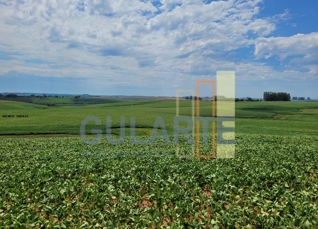 Fazenda, 252 hectares - Foto 4