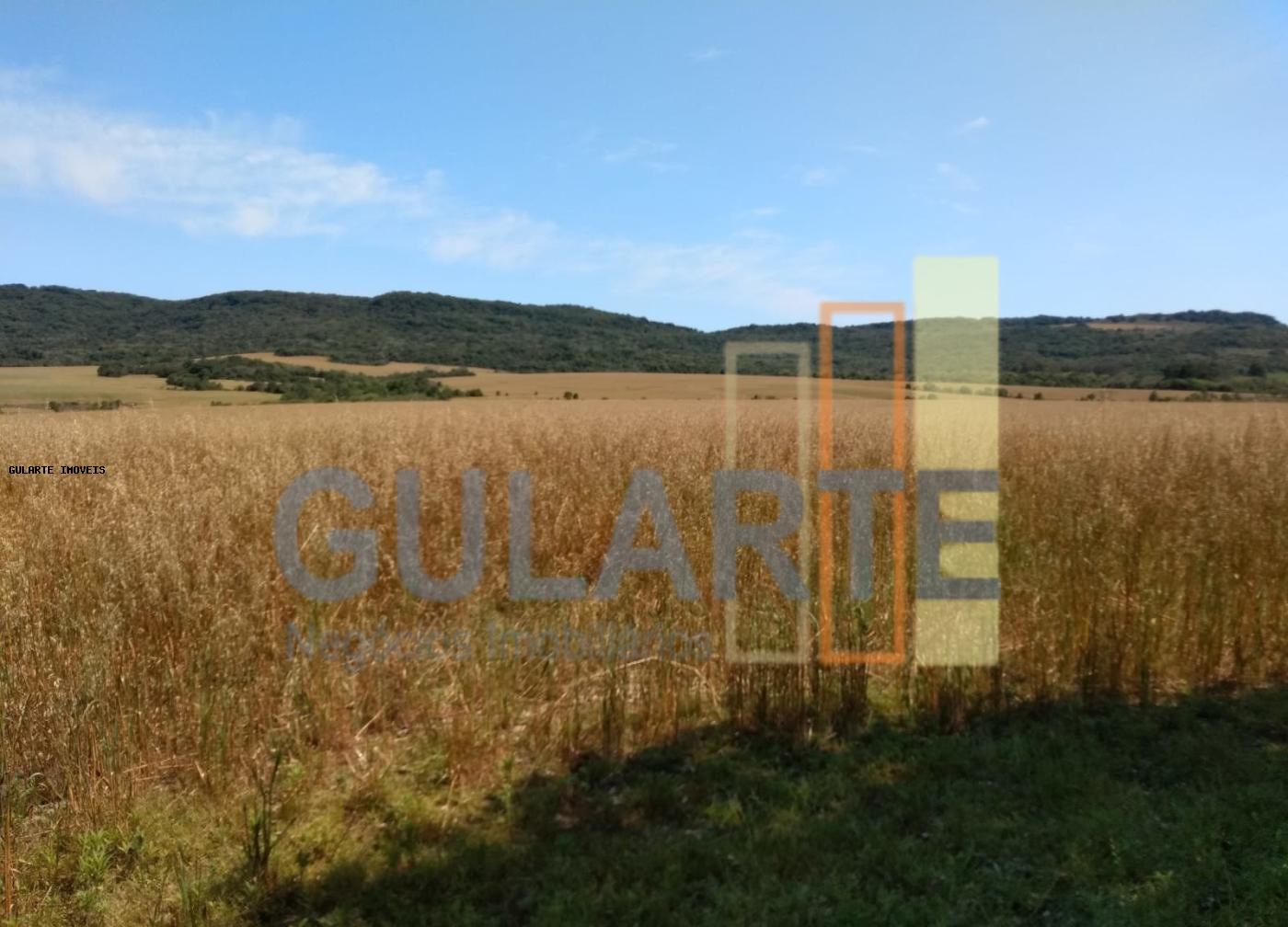 Fazenda, 252 hectares - Foto 6