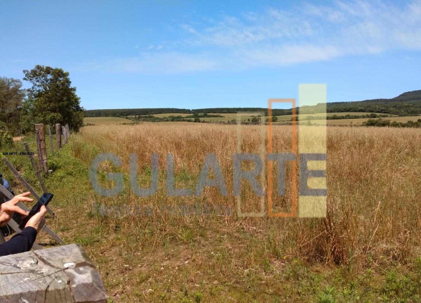 Fazenda, 252 hectares - Foto 7