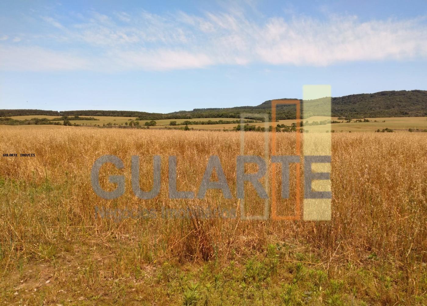 Fazenda, 252 hectares - Foto 8