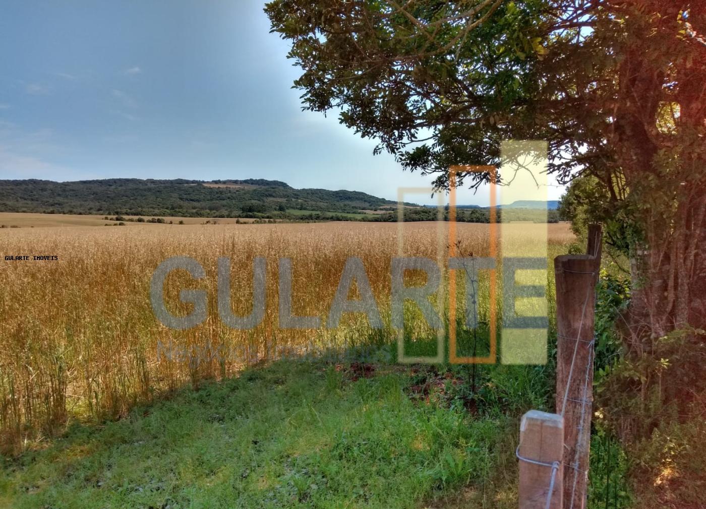 Fazenda, 252 hectares - Foto 9