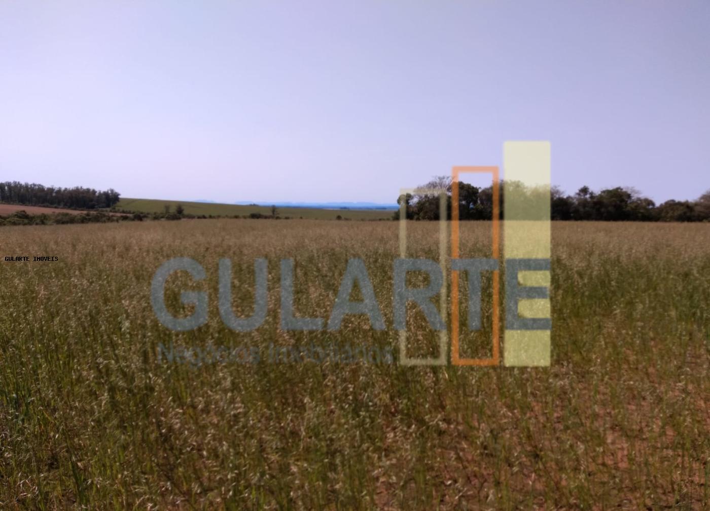 Fazenda, 252 hectares - Foto 10