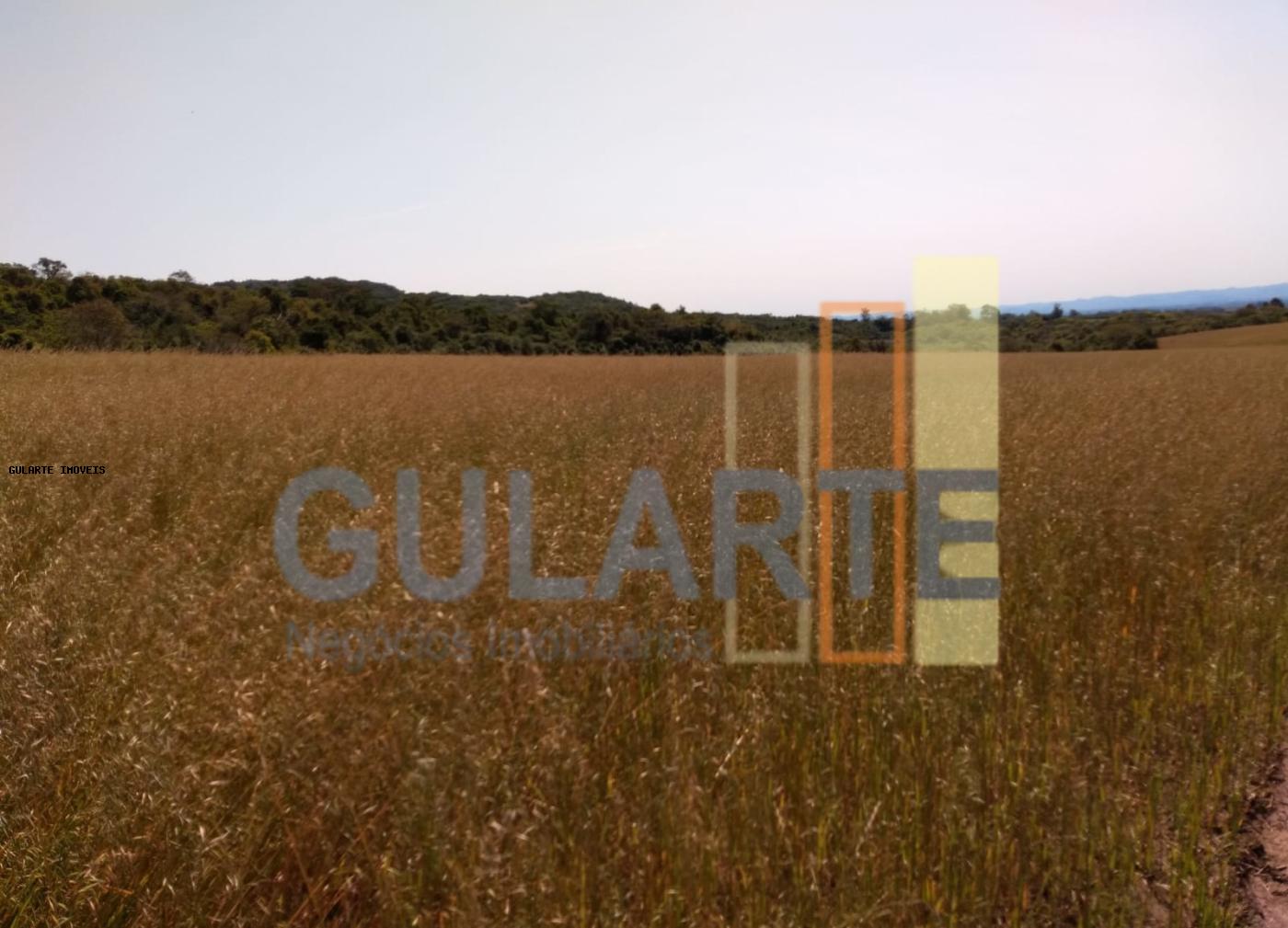 Fazenda, 252 hectares - Foto 11