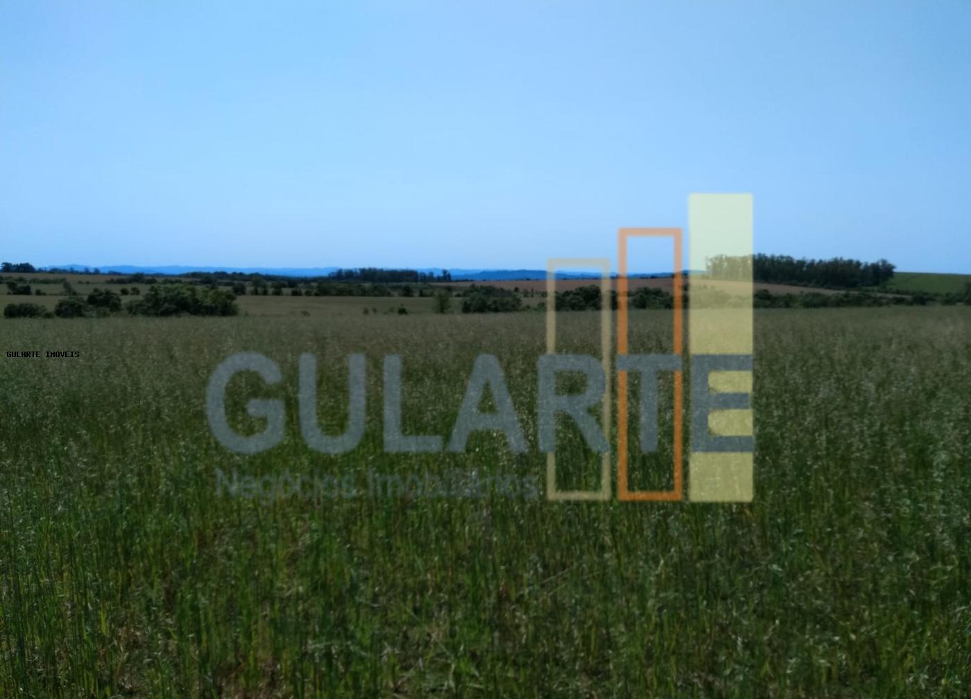 Fazenda, 252 hectares - Foto 15