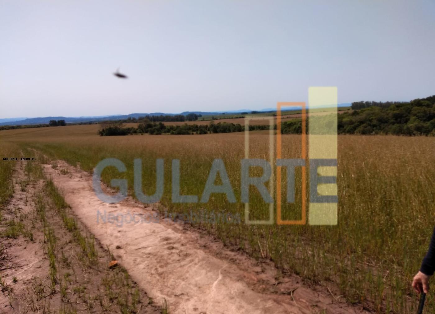 Fazenda, 252 hectares - Foto 14