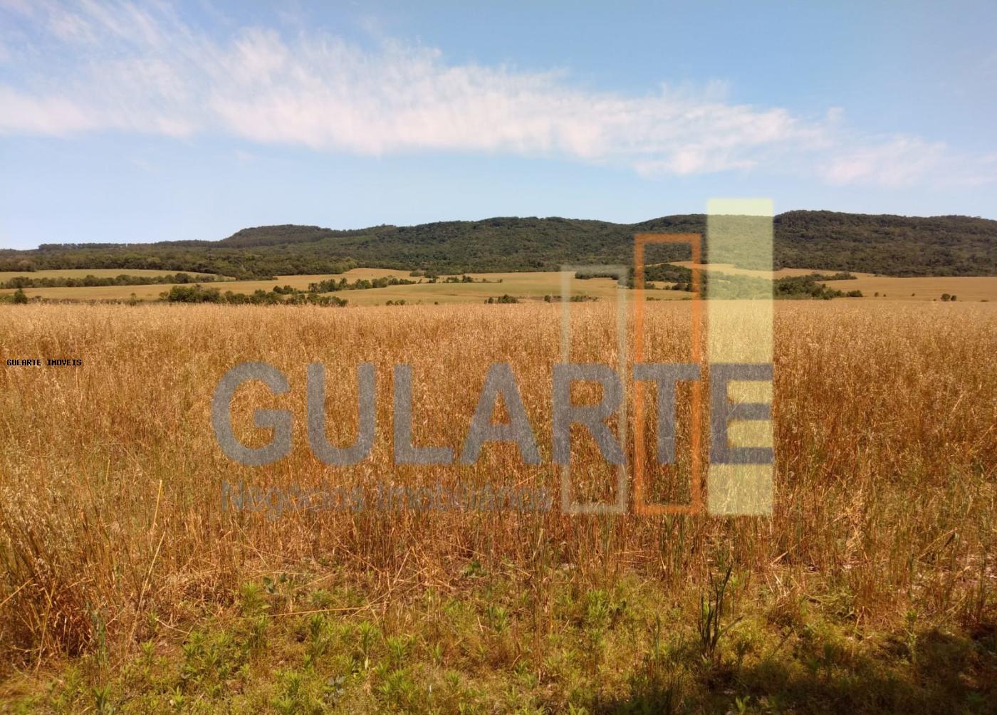 Fazenda, 252 hectares - Foto 13