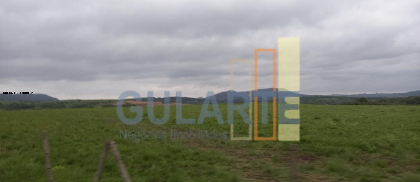 Fazenda, 1489 hectares - Foto 8