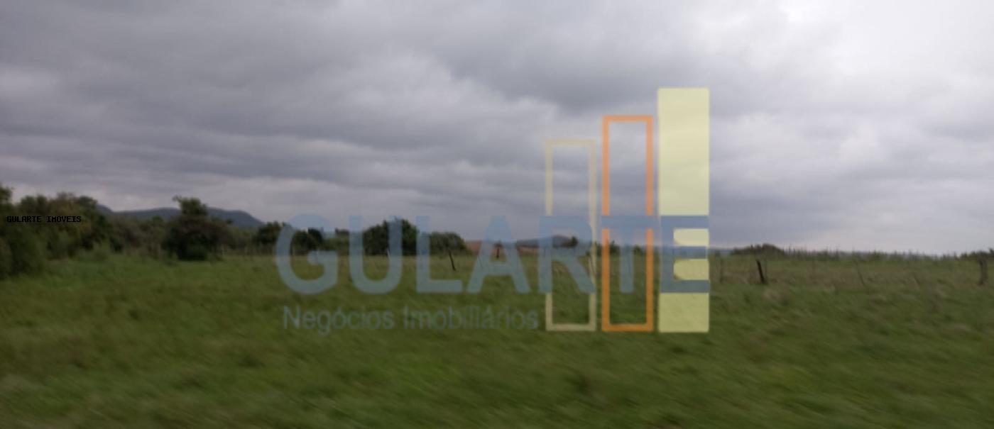 Fazenda, 1489 hectares - Foto 9