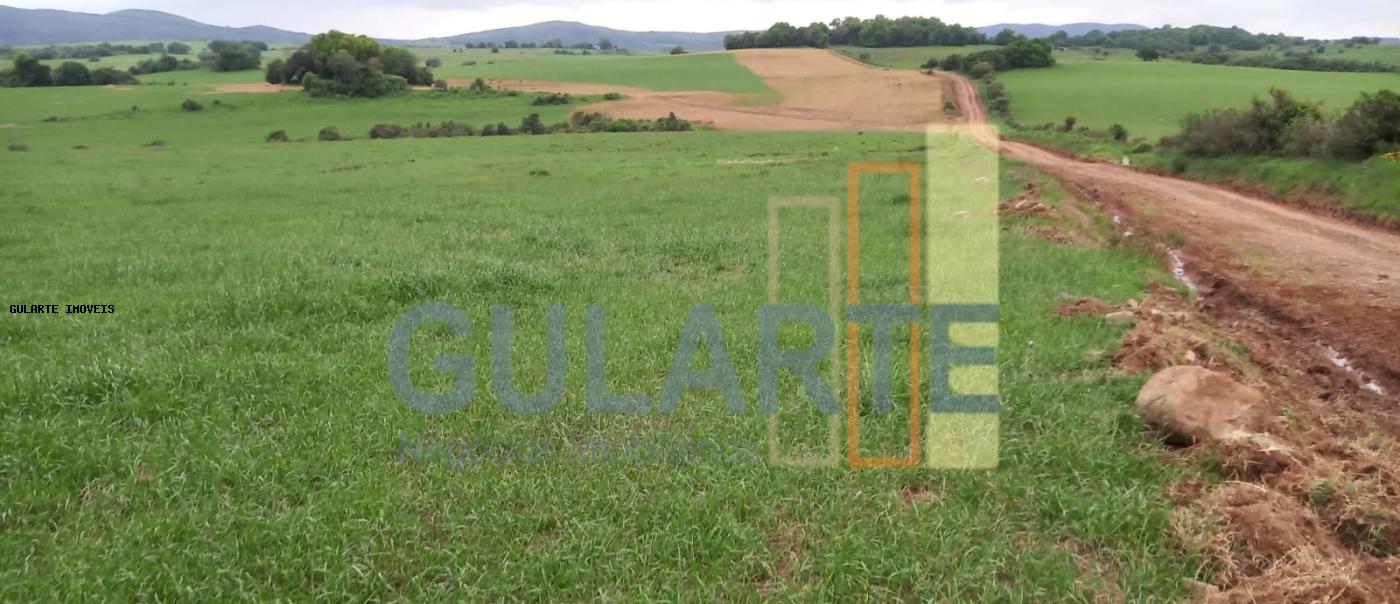 Fazenda, 1489 hectares - Foto 7