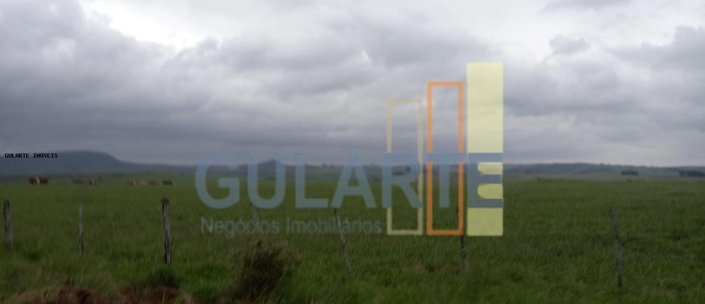 Fazenda, 1489 hectares - Foto 11