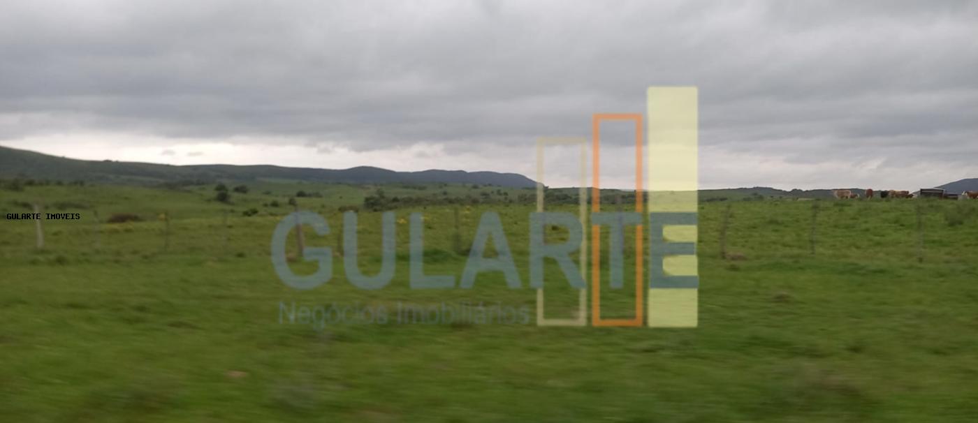 Fazenda, 1489 hectares - Foto 10