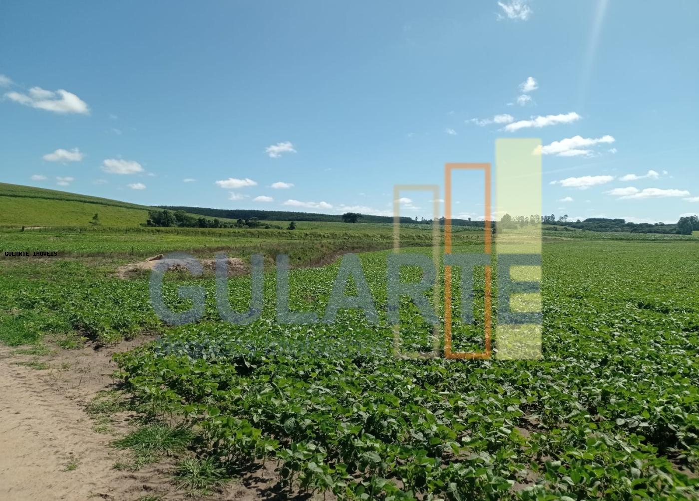 Fazenda, 360 hectares - Foto 2